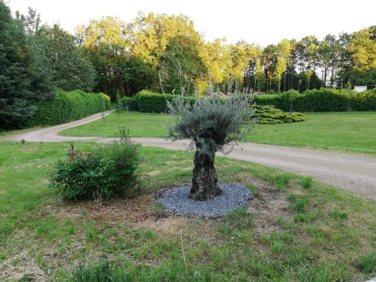 Le Gite Du Parc La Coquille Exterior foto